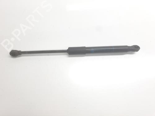 hood-lift-support-renault-rafale-coupe-dgm_-2023-34008889 main image