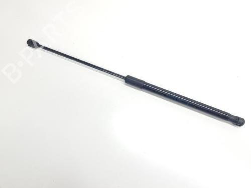 Tailgate lift support RENAULT SYMBIOZ 1.8 E-Tech 160 Full Hybrid | BP34698455C138 - Image 4