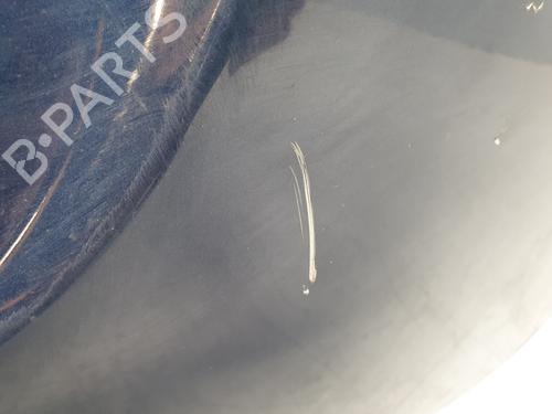 Tailgate MERCEDES-BENZ A-CLASS (W169) A 180 CDI (169.007, 169.307) | BP28168460C6 