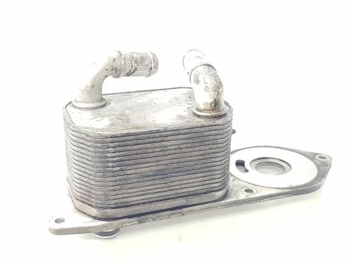 Oil radiator FORD TRANSIT V363 Van (FCD, FDD) 2.0 EcoBlue | BP30787083M33 