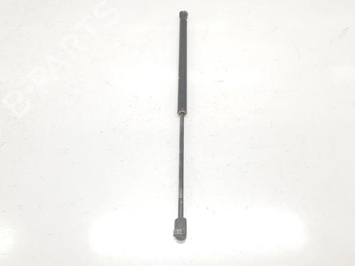 Tailgate lift support MINI MINI COUNTRYMAN (R60) Cooper D ALL4 | BP14101350C138