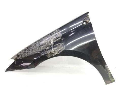 Used Left front fenders RENAULT LAGUNA III (BT0/1) 1.5 dCi (BT00, BT0A, BT0T, BT1J) (110 hp) 777049
