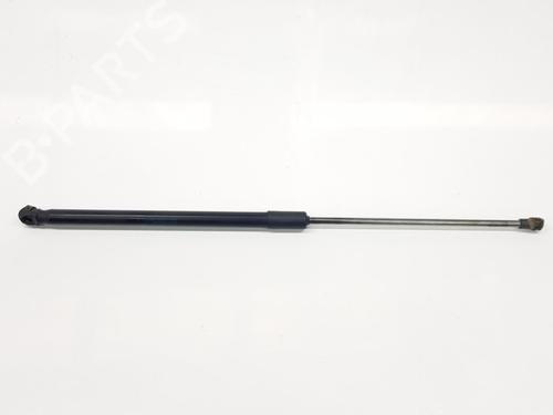 Tailgate lift support SEAT IBIZA IV SC (6J1, 6P5) 1.4 TDI 6J4827550C   | 6J4827550C   | 0290N   |