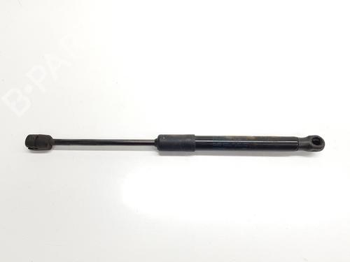 Hood lift support AUDI A6 C7 (4G2, 4GC) 2.0 TDI | BP29596105C139 