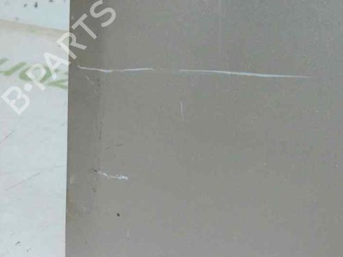 Hood RENAULT CLIO III (BR0/1, CR0/1)  | BP1425003C1 