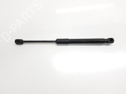 hood-lift-support-audi-a6-c7-4g2-4gc-2010-2011-2012-2013-2014-2015-2016-2017-2018-2019-33543175 main image