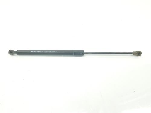 Used Tailgate lift support RENAULT CLIO IV (BH_) 1.5 dCi 75 (75 hp) 14097825