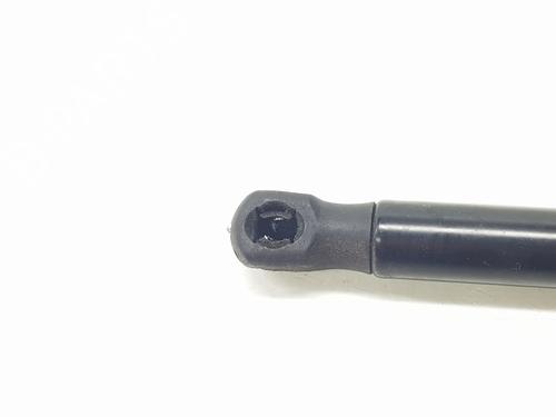 Tailgate lift support LAND ROVER RANGE ROVER EVOQUE (L538)  | BP29026306C138 