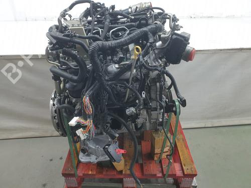 Engine NISSAN NAVARA NP300 (D40) 2.5 dCi 4WD | BP29630701M1 