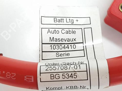 Other BMW X4 (F26) xDrive 20 d | BP37646848O1 - Image 5