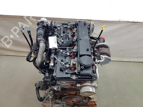 Engine FORD RANGER (TKE) 3.2 TDCi 4x4 | BP36185908M1 - Image 6
