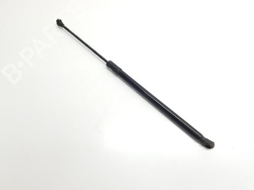 Tailgate lift support SEAT ARONA (KJ7, KJP)  | BP29204479C138 