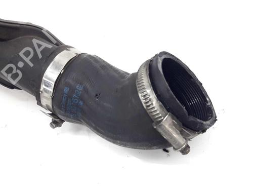 Intercooler pipe AUDI A3 Sportback (8PA) 1.6 TDI | BP14077809M127