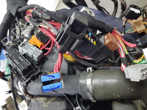 Engine RENAULT KANGOO / GRAND KANGOO II (KW0/1_) 1.5 dCi 75 (KW07, KW10, KW04) | BP32453302M1  - Image 13