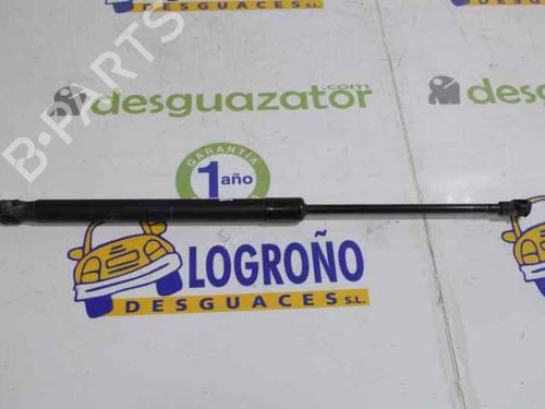 Tailgate lift support BMW 1 (E87) 120 d | BP14121137C138 