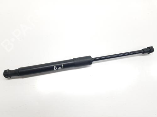 hood-lift-support-audi-q5-8rb-2008-2009-2010-2011-2012-2013-2014-2015-2016-2017-2018-2019-32139906 main image