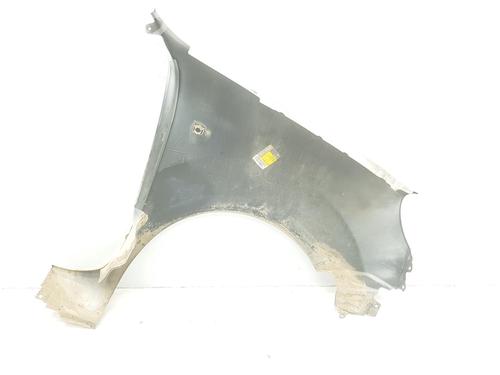 Left front fenders RENAULT KANGOO (KC0/1_) 1.5 dCi (KC07) | BP12141870C41 
