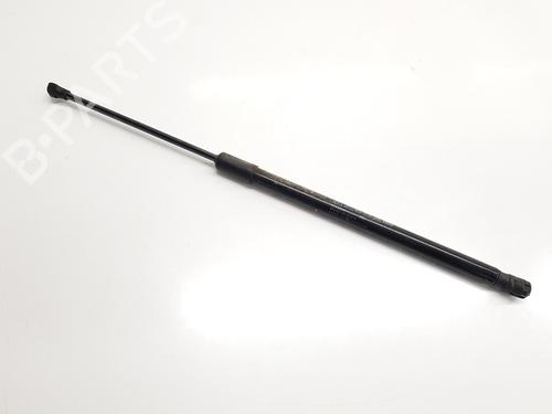 BP30709936C138 main image