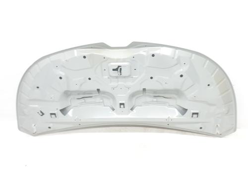 Hood RENAULT TRAFIC III Van (FG_) 1.6 dCi 140 (FGMA, FGMC) | BP29954937C1