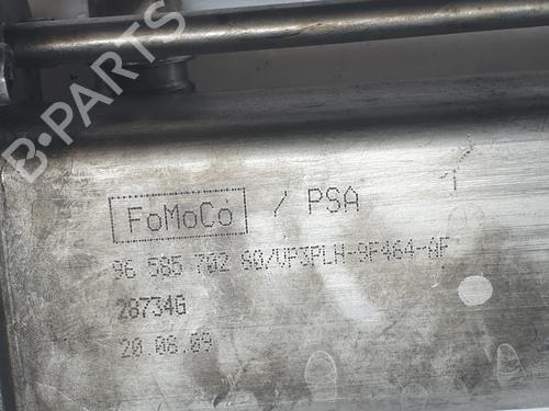 Egr LAND ROVER FREELANDER 2 (L359) 2.2 TD4 4x4 | BP29617033M69 