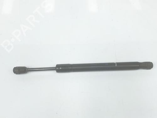 Gassdemper Bakluke AUDI A4 B7 (8EC) 2.0 TDI 16V (140 hp) 14101341