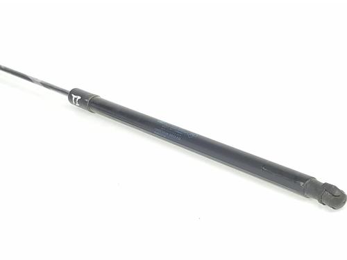 Tailgate lift support DACIA JOGGER (RK_)  | BP32371913C138 