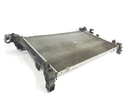 Water radiator RENAULT TRAFIC III Van (FG_) 2.0 dCi 120 (FGMN) | BP29915092M31 