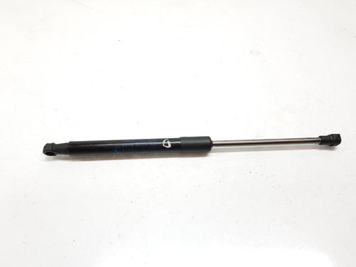 Used Hood lift support BMW X1 (E84) xDrive 18 d (143 hp) 20193505