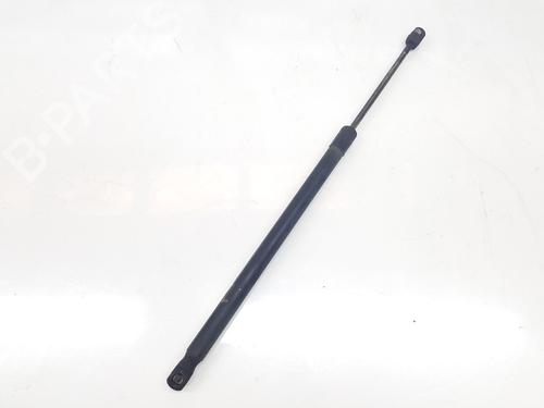 Tailgate lift support VW TOURAN (1T1, 1T2) 2.0 TDI | BP16646805C138 