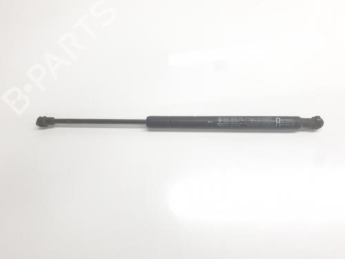 hood-lift-support-renault-arkana-i-lcm_-ldn_-2019-33411880 main image