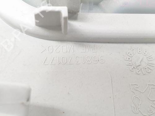 Interior roof light PEUGEOT 3008 I MPV (0U_) 1.6 HDi | BP20188694I8