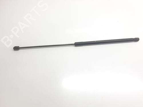 Used Tailgate lift support LAND ROVER RANGE ROVER EVOQUE (L538) [2011-2019]  29333149