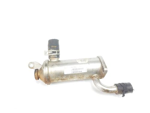 Egr LAND ROVER DISCOVERY III (L319) 2.7 TD 4x4 | BP31805805M69