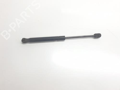Used Hood lift support LAND ROVER RANGE ROVER EVOQUE (L538) 2.0 D 4x4 (150 hp) 24802263