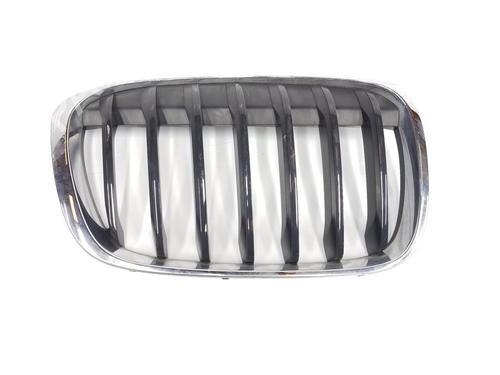 Used Grille BMW X1 (F48) xDrive 18 d (150 hp) 10484069