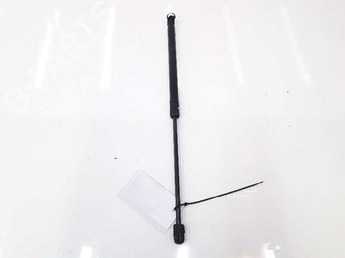 Hood lift support AUDI Q7 (4LB) 4.2 TDI quattro | BP14072562C139 