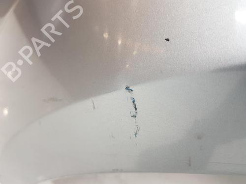 Left front fenders FORD S-MAX (WA6) 2.0 TDCi | BP13697212C41 