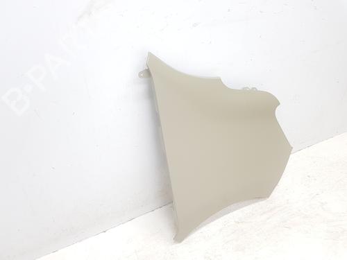 Right front fenders RENAULT MASTER III Van (FV) 2.3 dCi 135 FWD (FV0N, FV08, FV06, FV00, FV1S) | BP32198585C42 