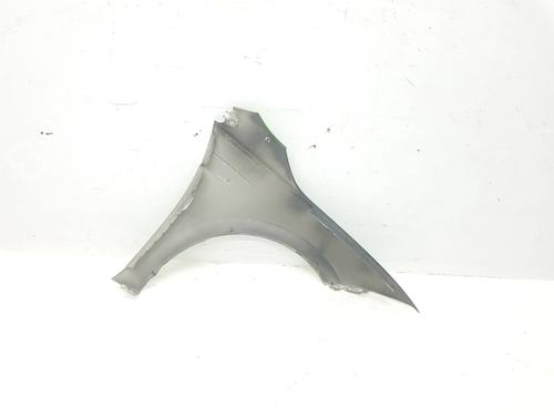 Left front fenders VW POLO VI (AW1, BZ1, AE1)  | BP29535933C41 