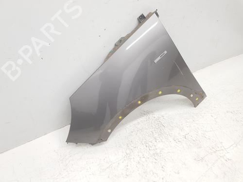 Left front fenders RENAULT SCÉNIC III (JZ0/1_)  | BP26214809C41 