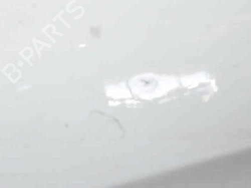 Left front door CITROËN XSARA PICASSO (N68) 2.0 HDi | BP1181657C2 