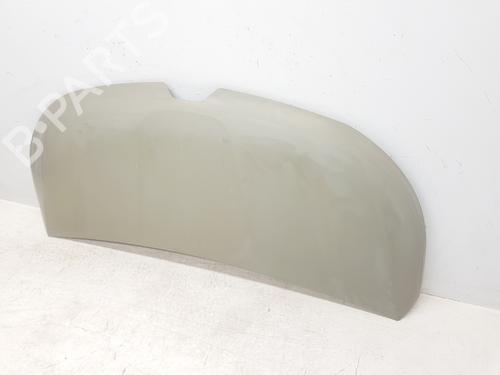 Hood RENAULT TRAFIC III Van (FG_) 1.6 dCi 140 (FGMA, FGMC) | BP30262859C1