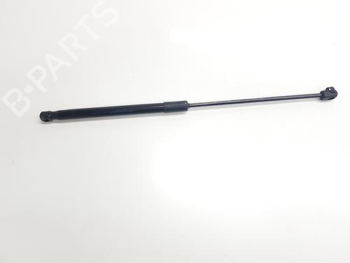 tailgate-lift-support-renault-symbioz-2024-34698454 main image