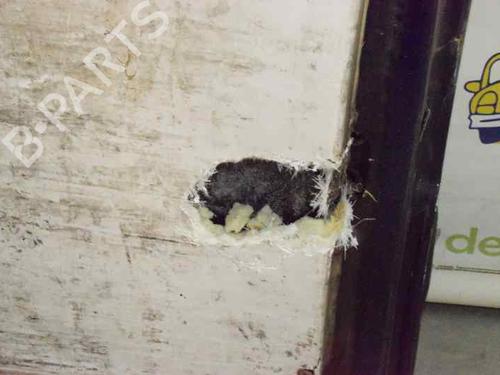 Left rear door RENAULT MASTER II Van (FD) 2.5 dCi | BP4220787C4 