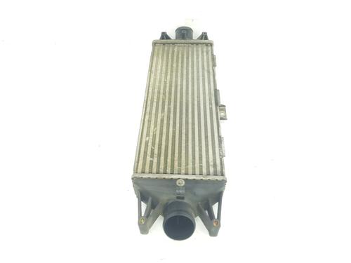 Intercooler IVECO DAILY IV Van 35C14 GV, 35C14 GV/P, 35S14 GV, 35S14 GV/P | BP9697693M30 