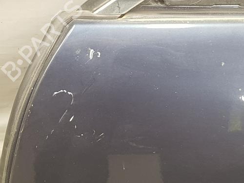 Left front door BMW 7 (E65, E66, E67) 730 d | BP6896619C2 
