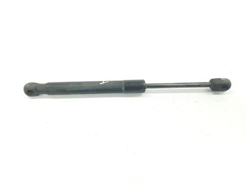 Tailgate lift support SKODA SUPERB I (3U4) 1.9 TDI | BP15467723C138 