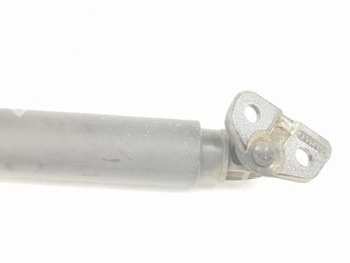 Tailgate lift support BMW 3 (F30, F80) 318 d | BP17769445C138 