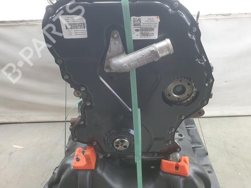 Engine FORD RANGER (TKE) 3.2 TDCi 4x4 | BP31930860M1