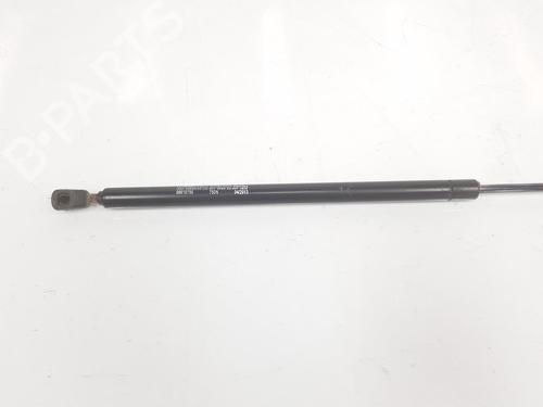 Tailgate lift support MERCEDES-BENZ M-CLASS (W163) ML 270 CDI (163.113) | BP14100996C138 